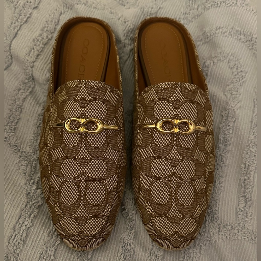 NWOT Coach Slides